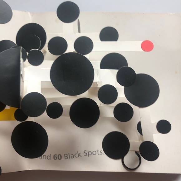 Hide and Seek Pop-Up Book David A. Carter - Picture 16 of 16